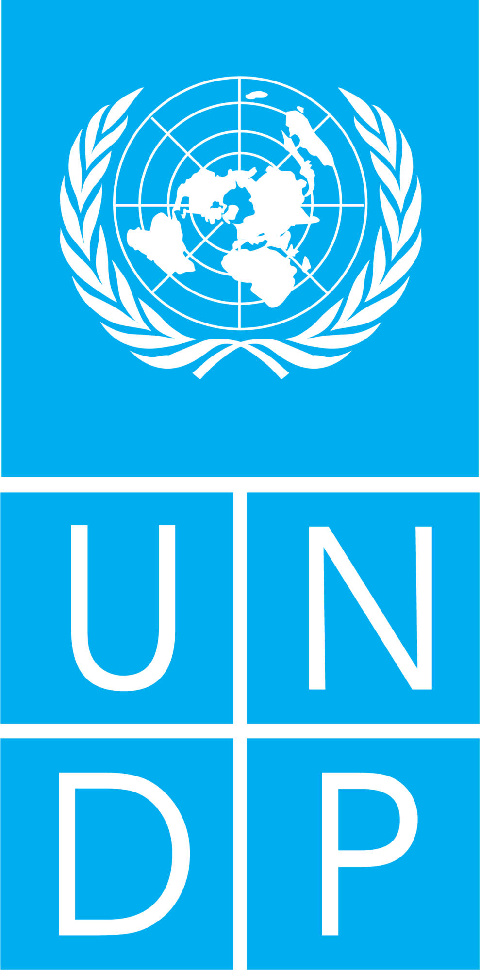 UNDP Logo